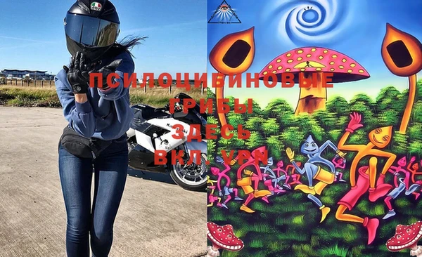 Альфа ПВП Богданович