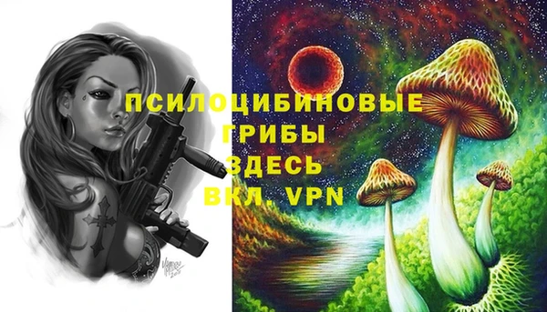 метамфетамин Богородск